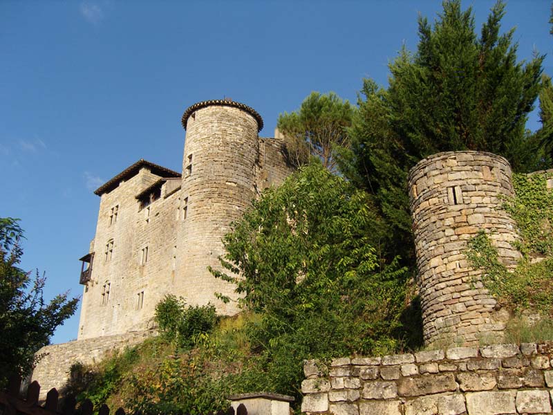 Château de Cas_82160 ESPINAS_16 Château de Cas_82160 ESPINAS_16